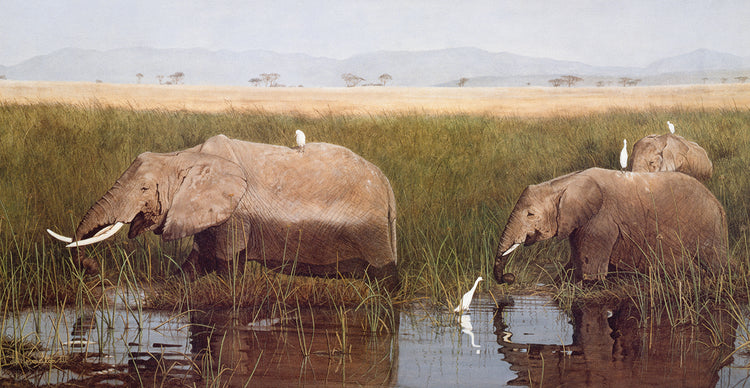 Arte de la lona de los gentiles gigantes