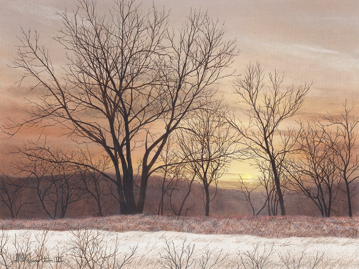 Silent Sunset