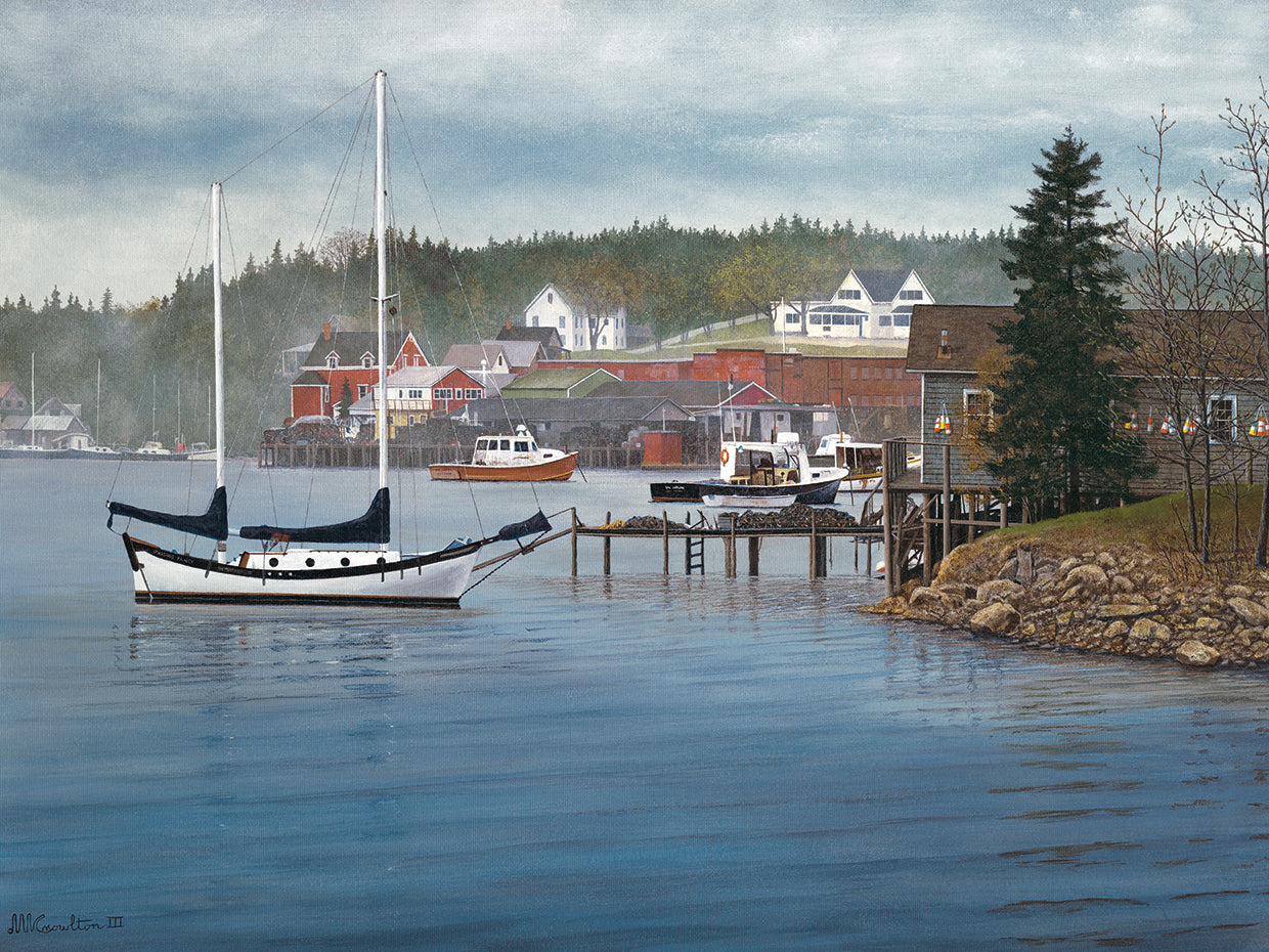 Tranquil Harbor