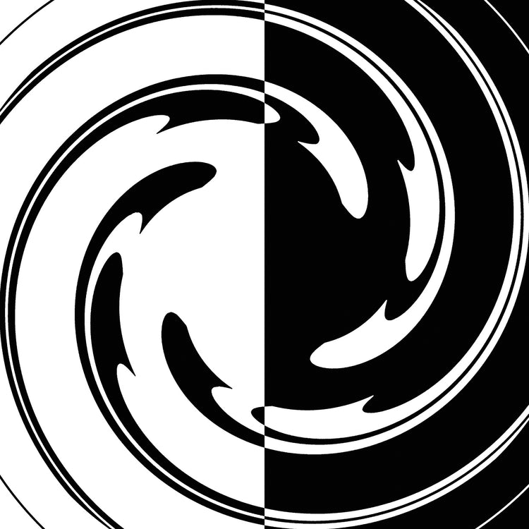 The Social Experiment