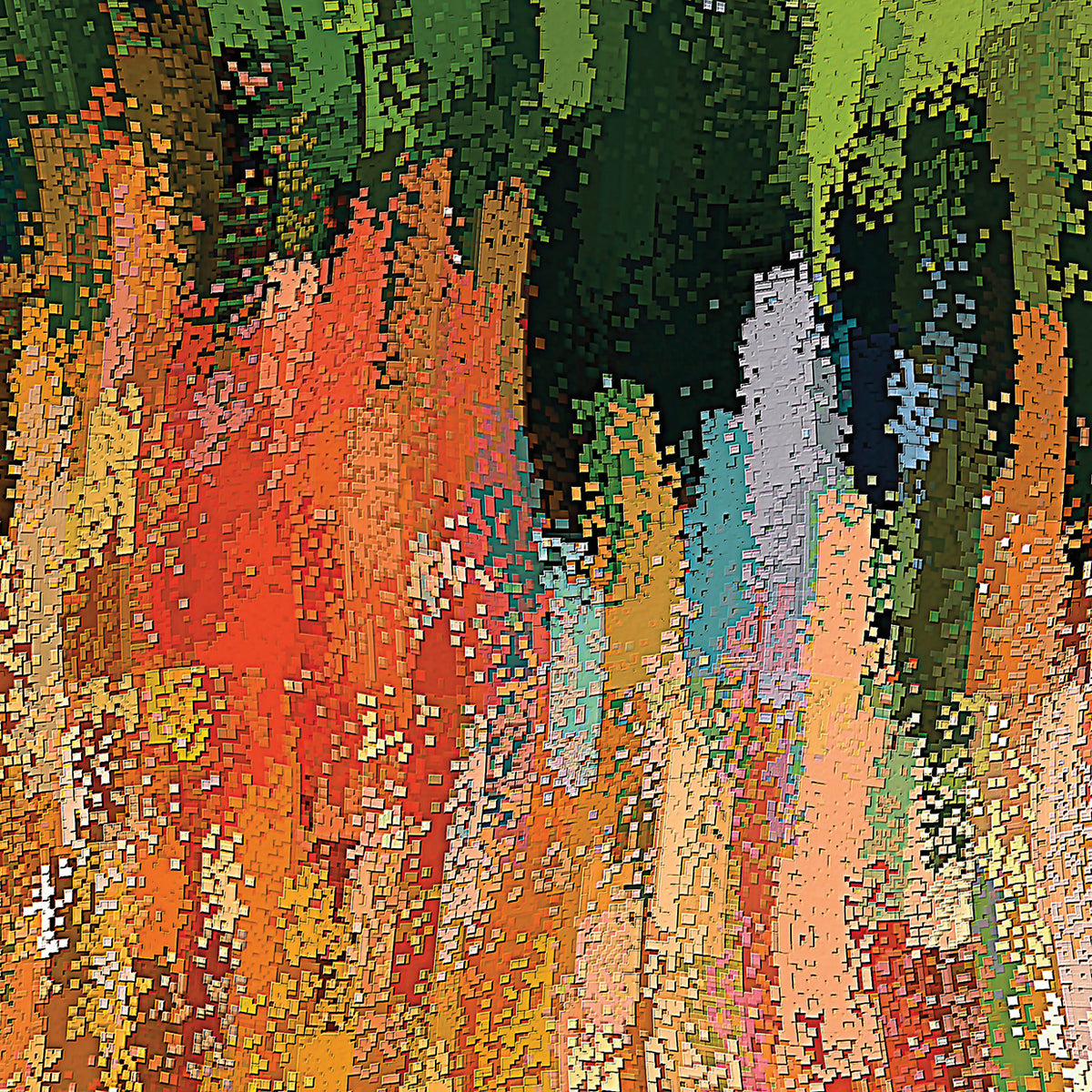 Torch Lilies