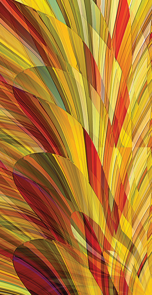 flower-petals-david-manlove