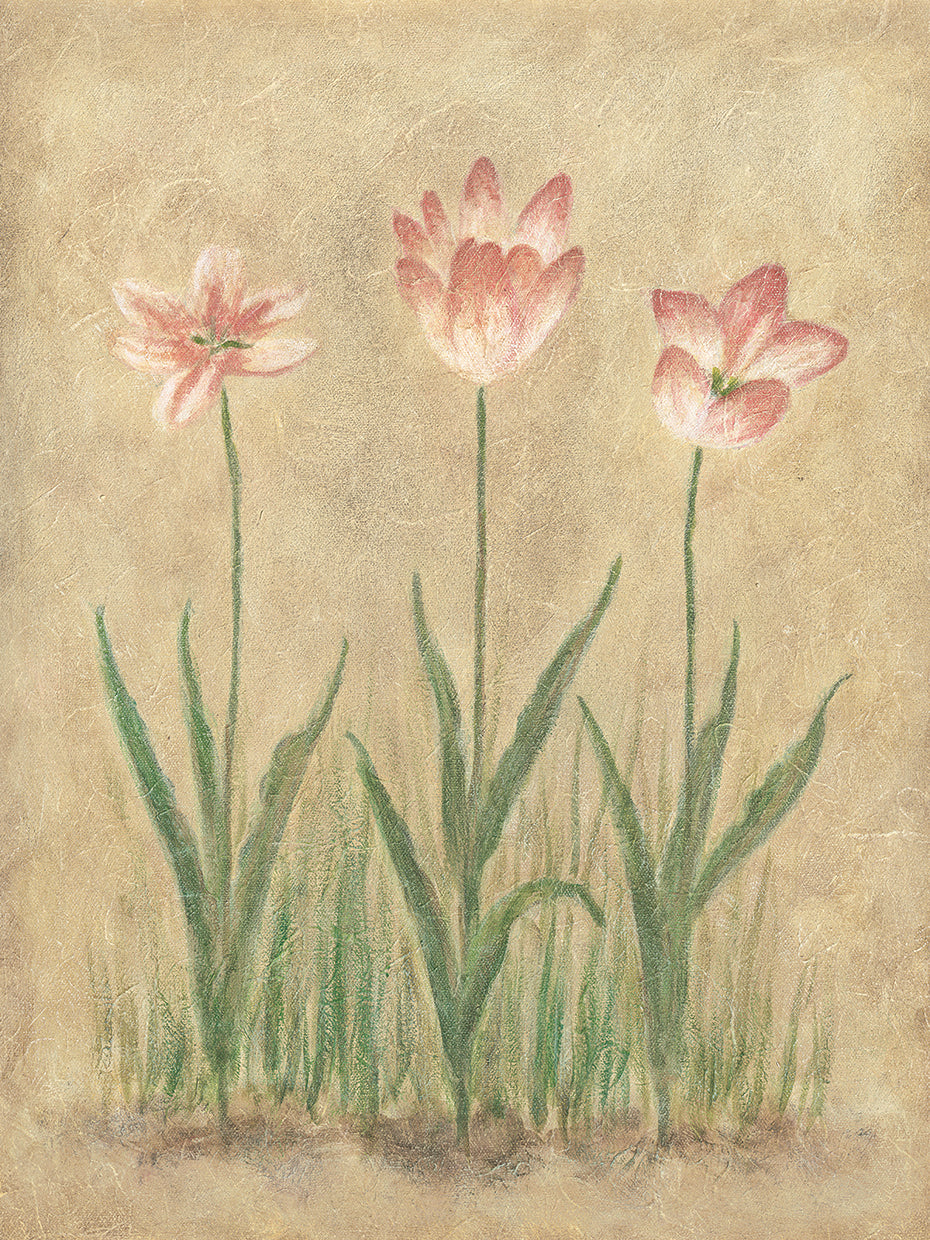 3 Flowers