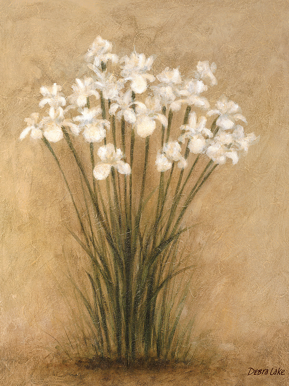 Floral F