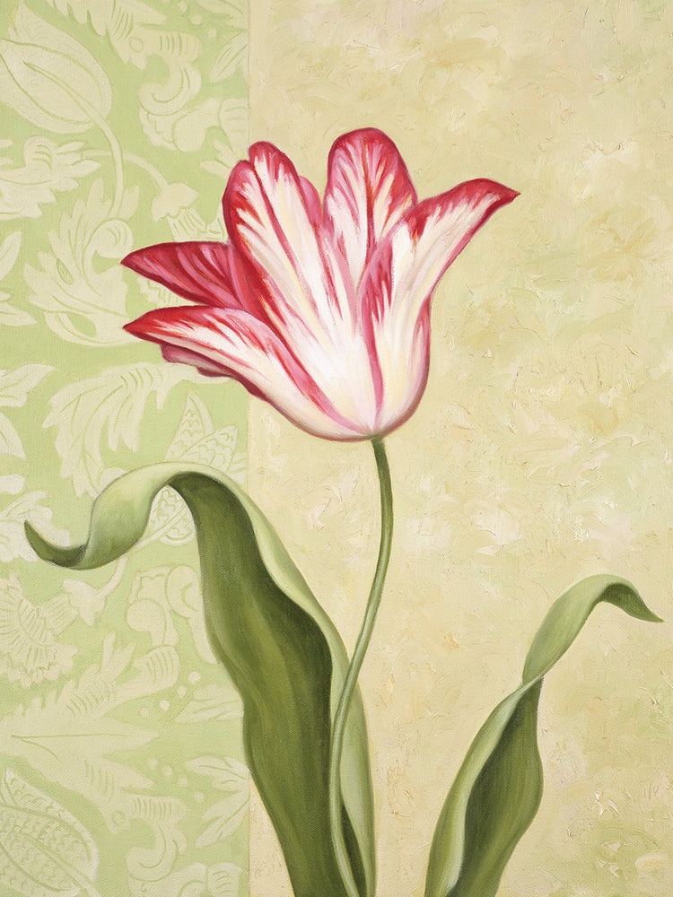 Tulip