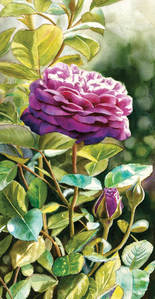 Heidi Klum Rose Canvas Art