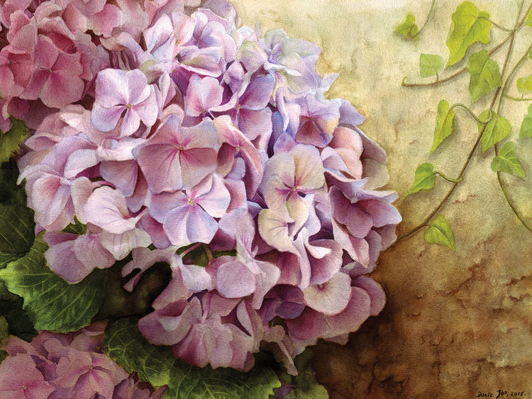 Hydrangea With Ivy
