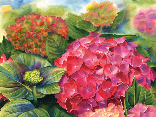 Pink Hydrangea Canvas Art