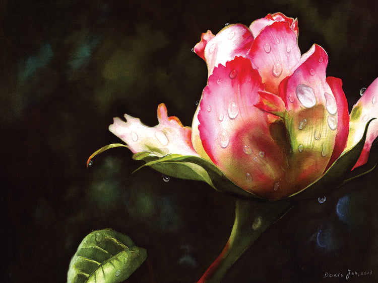 Arte de lienzo de capullo de rosa rosa con gotas de rocío
