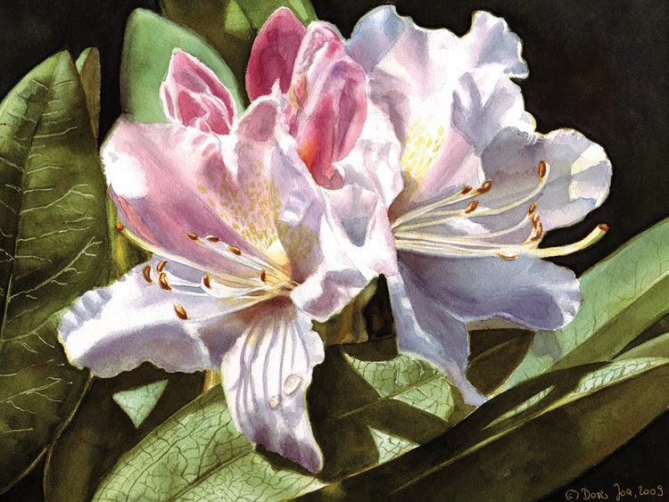Arte de la lona de Rhodie que baila