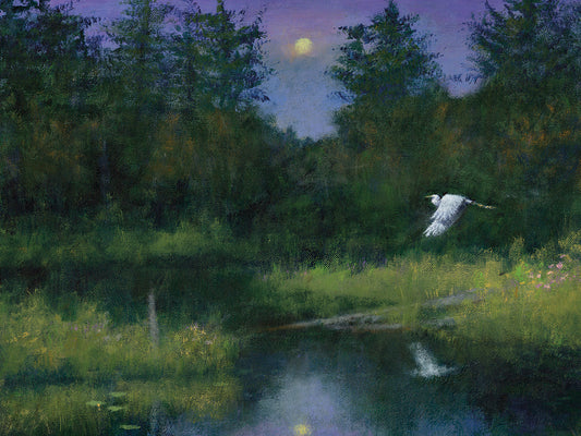 Flying over the Lake Canvas Art
