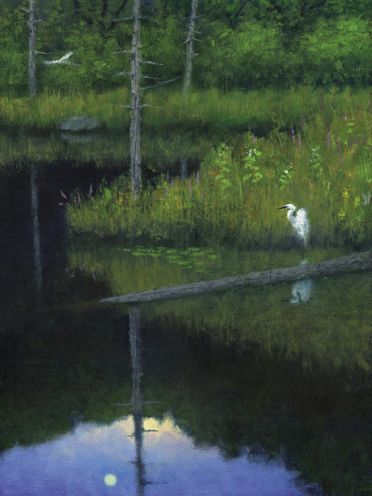 Arte de la lona del pájaro en el lago