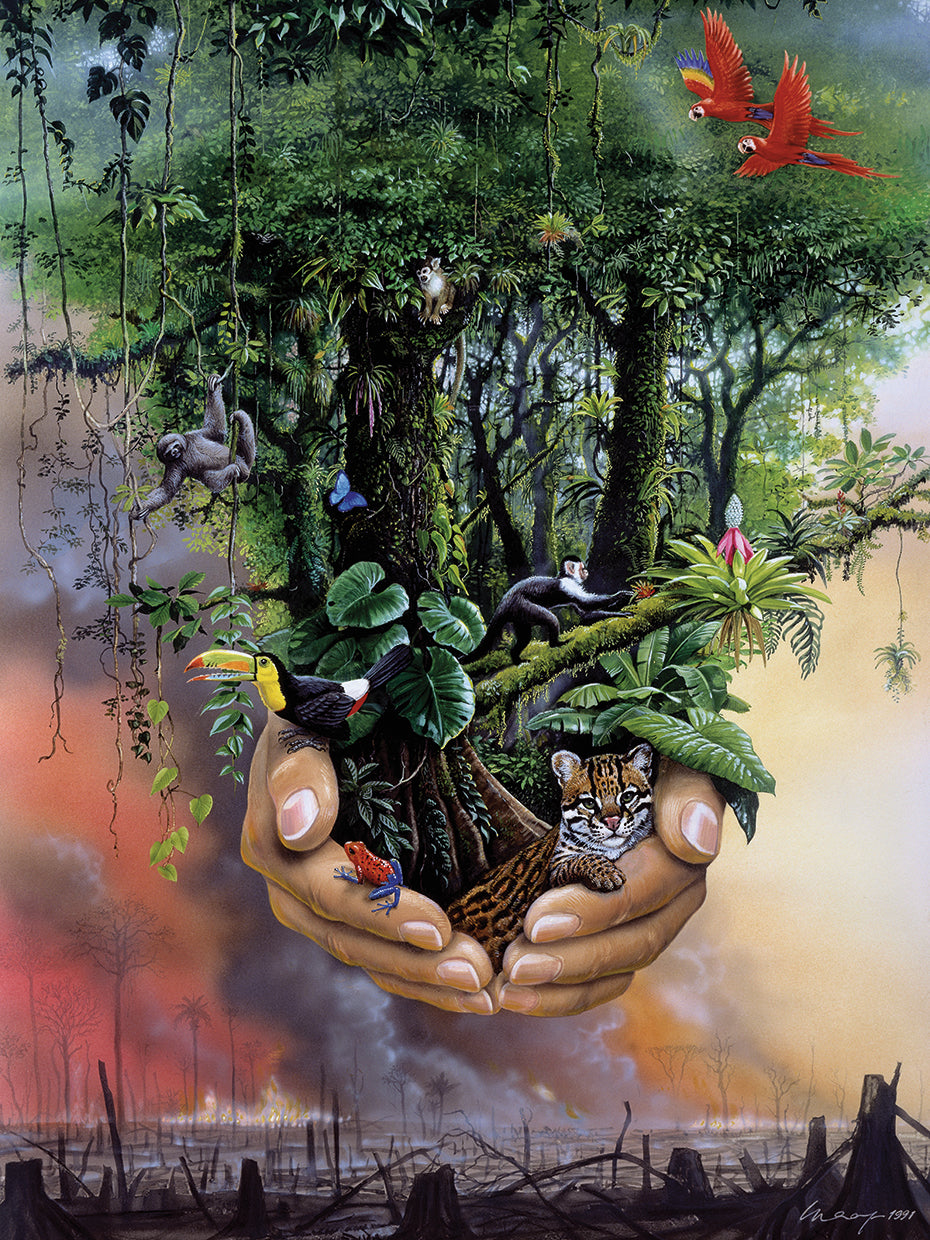 Save The Rainforest