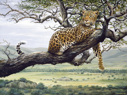 Leopard Canvas Art