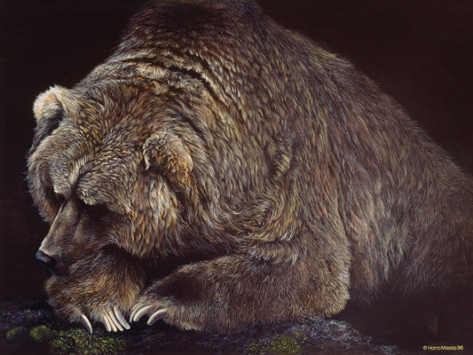 Bear Canvas Art