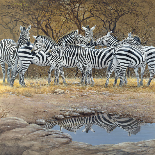 Zebras Canvas Art