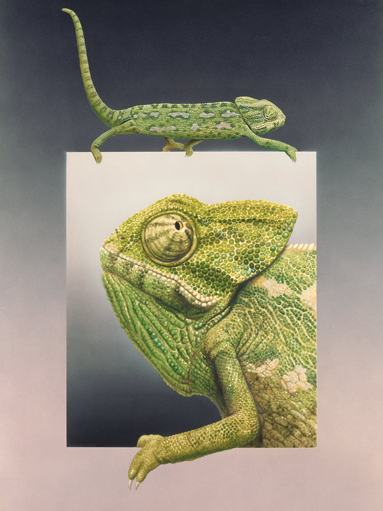 Chameleon