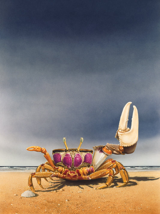 Fiddler Crab Canvas Art