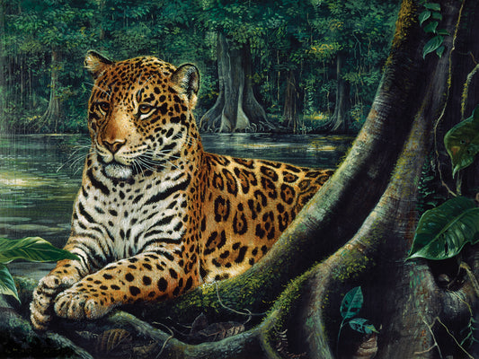 Jaguar By The River Canvas Art
