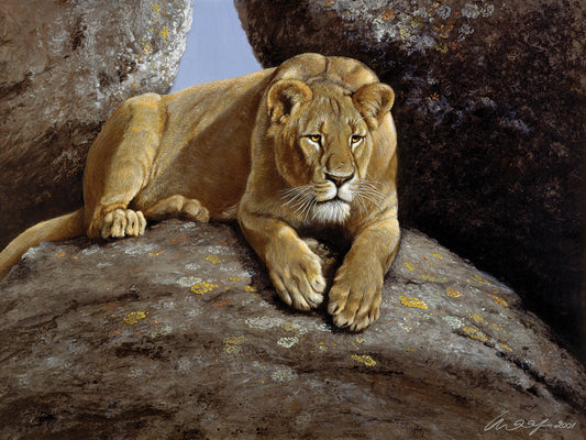 Lioness Canvas Art