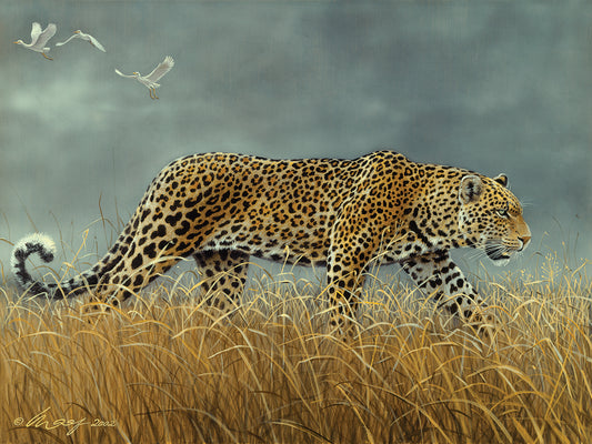 Leopard 2 Canvas Art