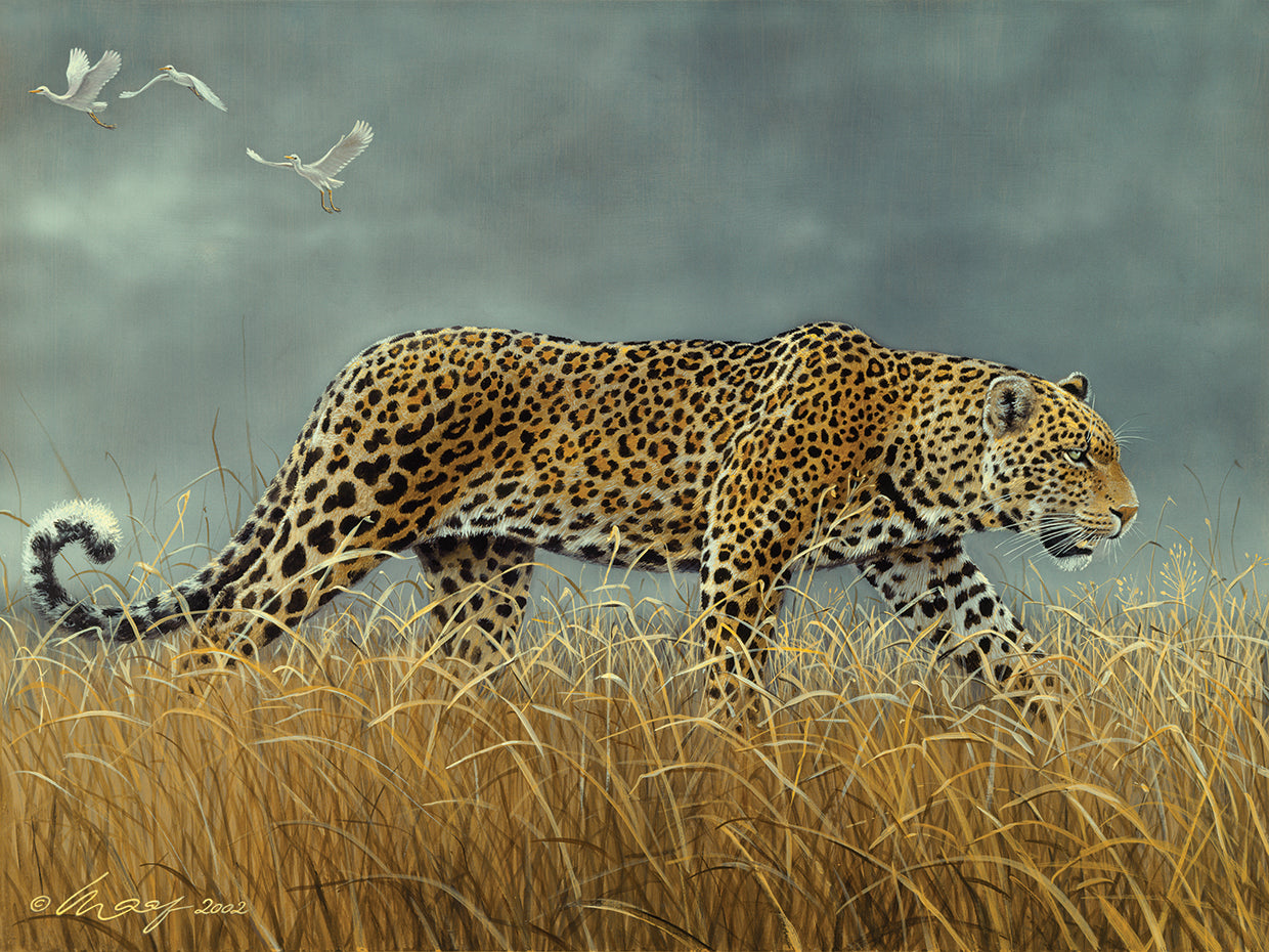 Leopard 2