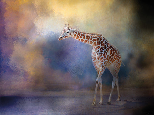 Let The Sun Shine In Giraffe Canvas Art