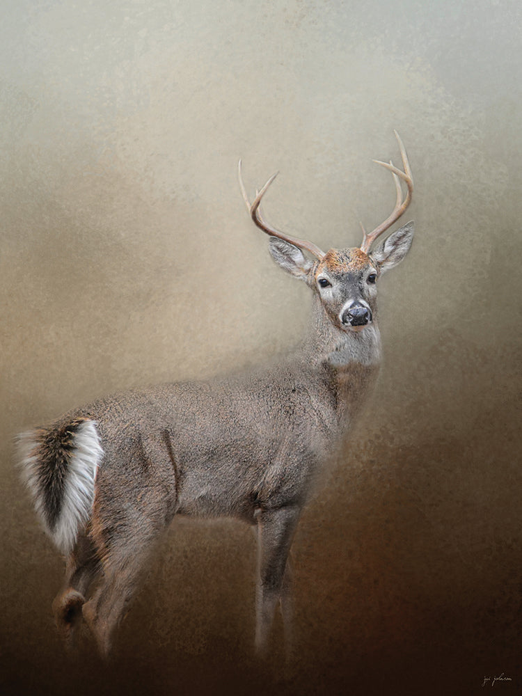 Master Of The Forest