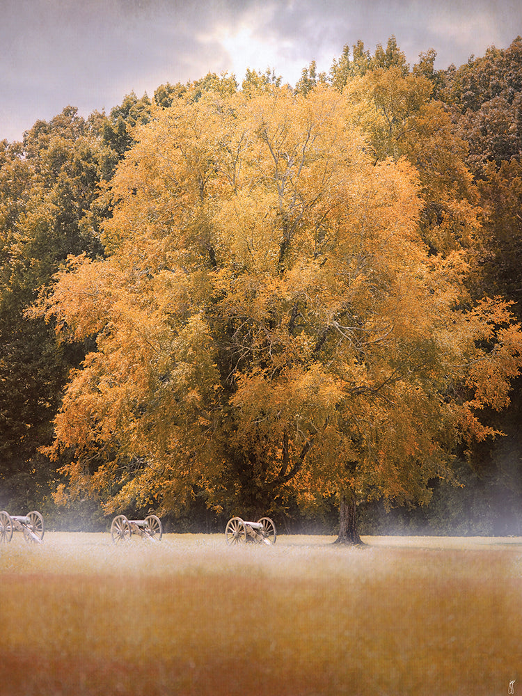 Morning On The Battlefield