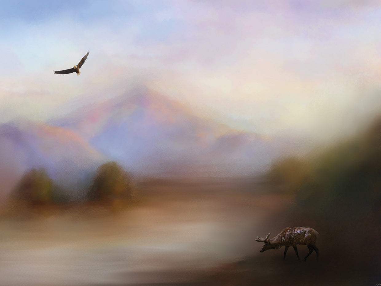 Morning At The Mountain