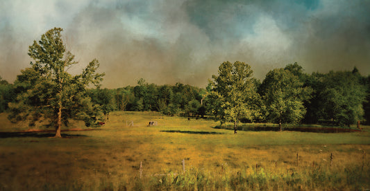 Tennessee Countryside Canvas Art