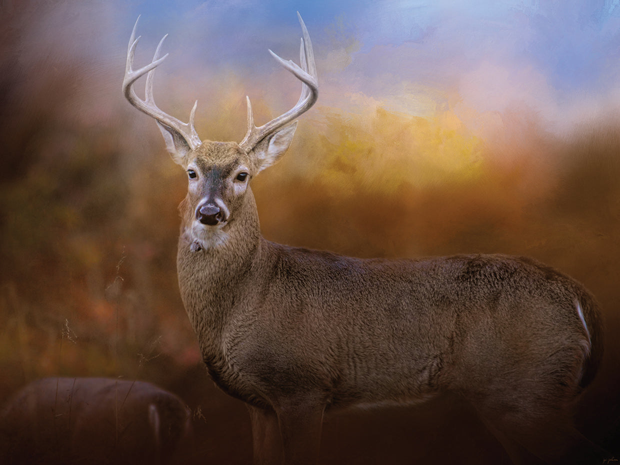 Let The Season Begin