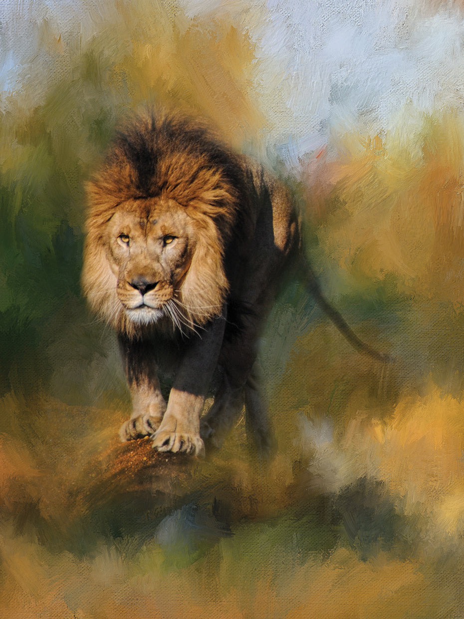 Spring Lion 1