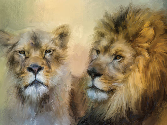 The Lion and His Lioness Canvas Art