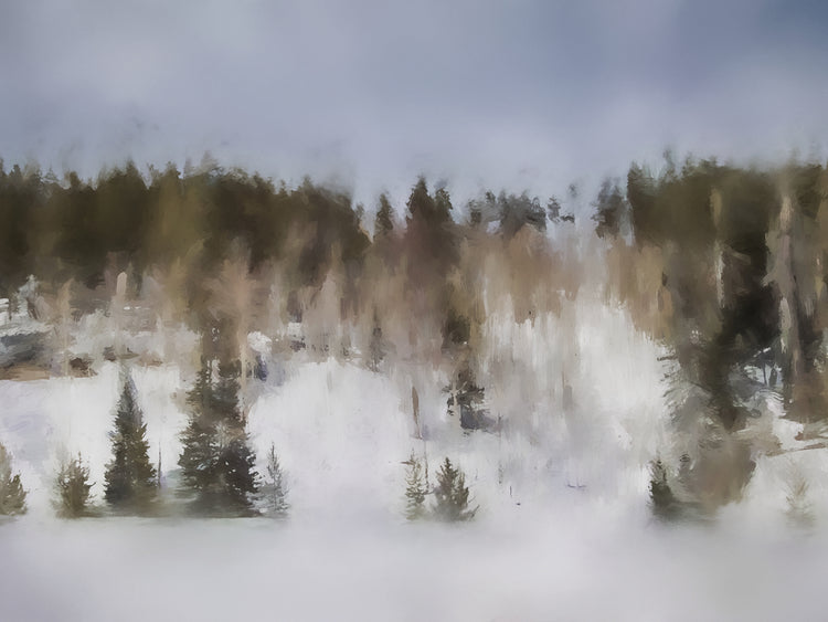 Winter Impressions In Colorado 8