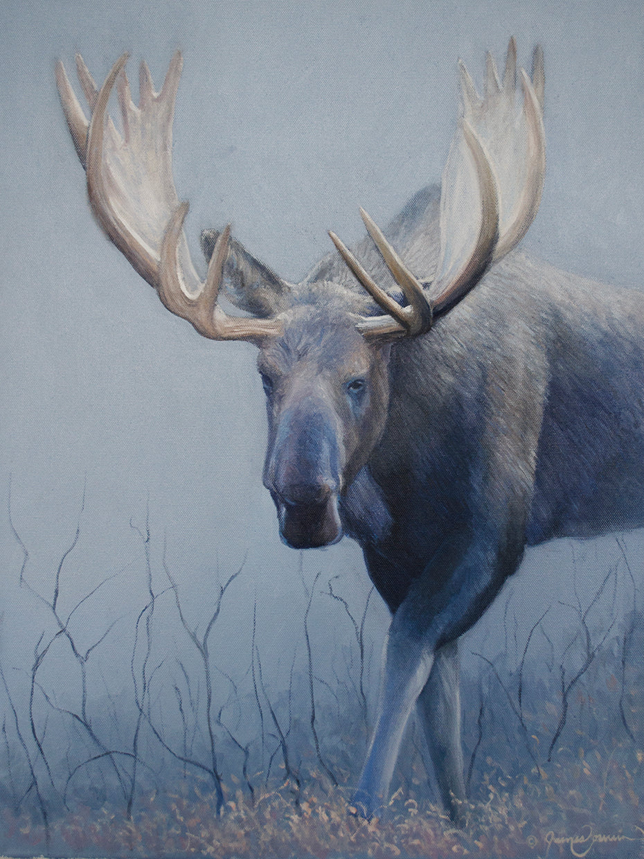 Alces