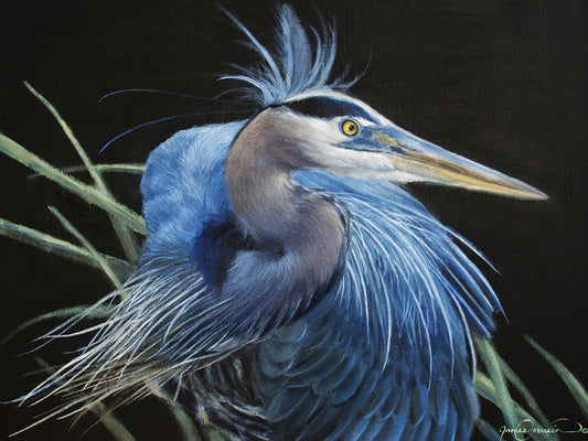 Blue Heron Canvas Art