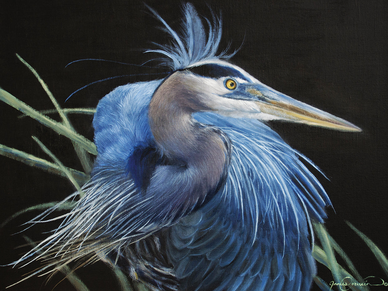 Arte de la lona de la garza azul