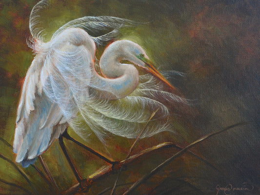 Great Egret Canvas Art