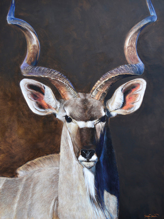 Greater Kudu Canvas Art