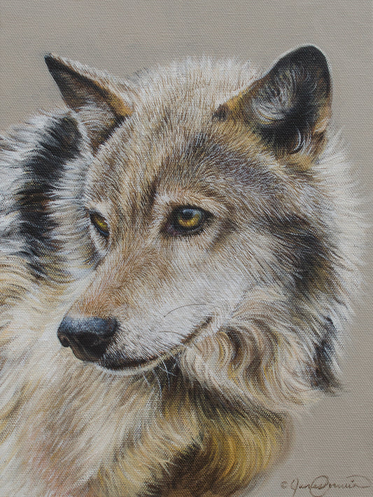 Portrait of a Wolf Canvas Art