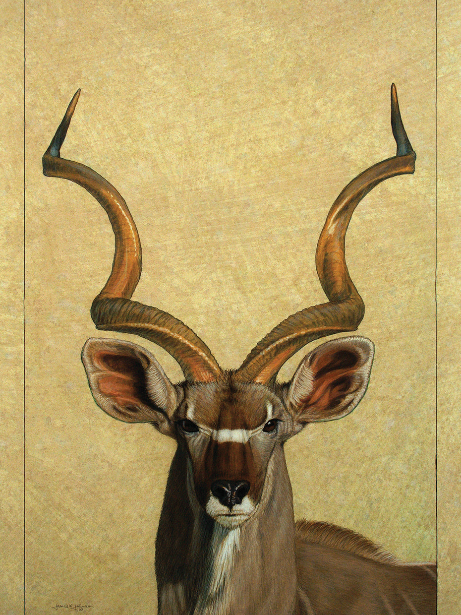 Kudu