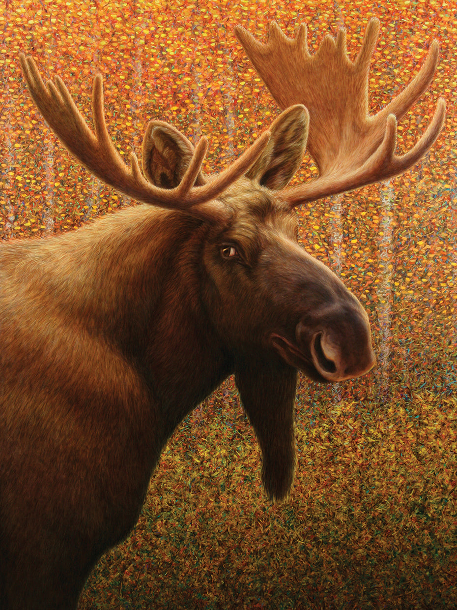 Moose