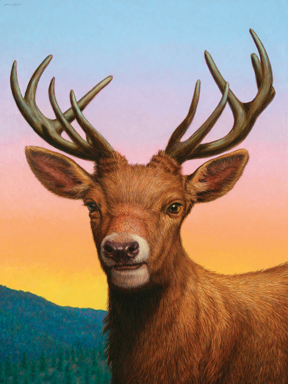 Reddeer