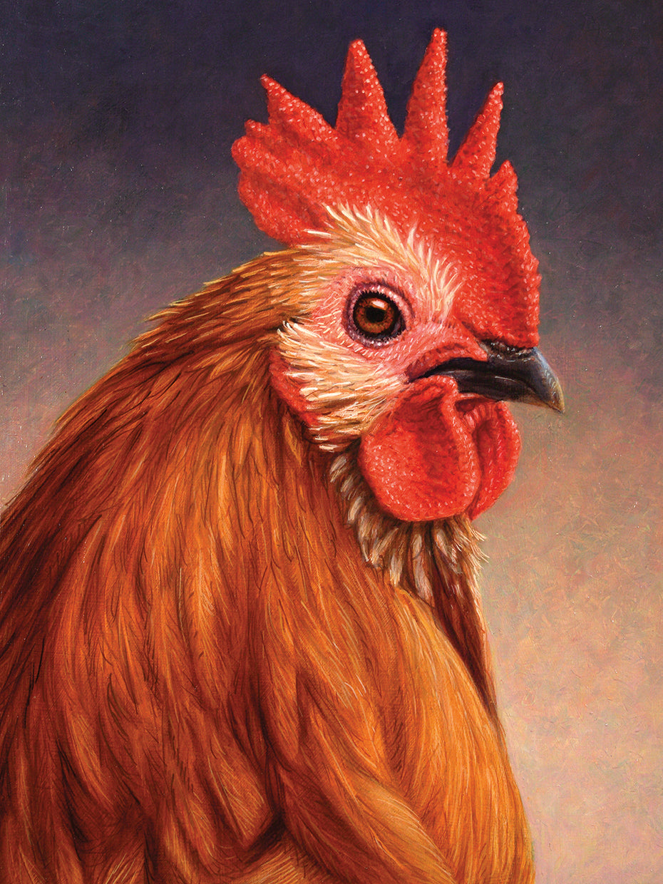 Rooster