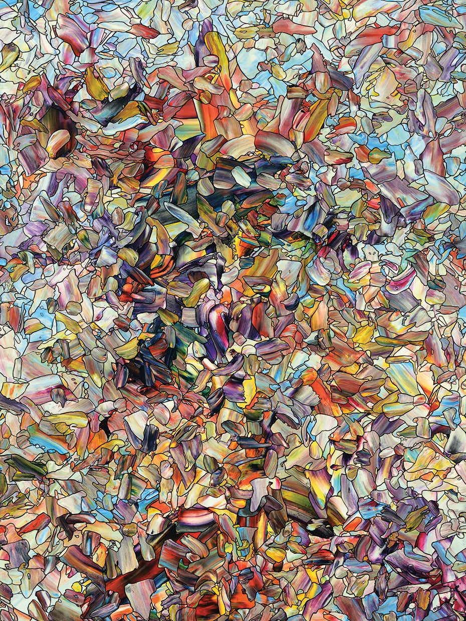 Fragmented Horse