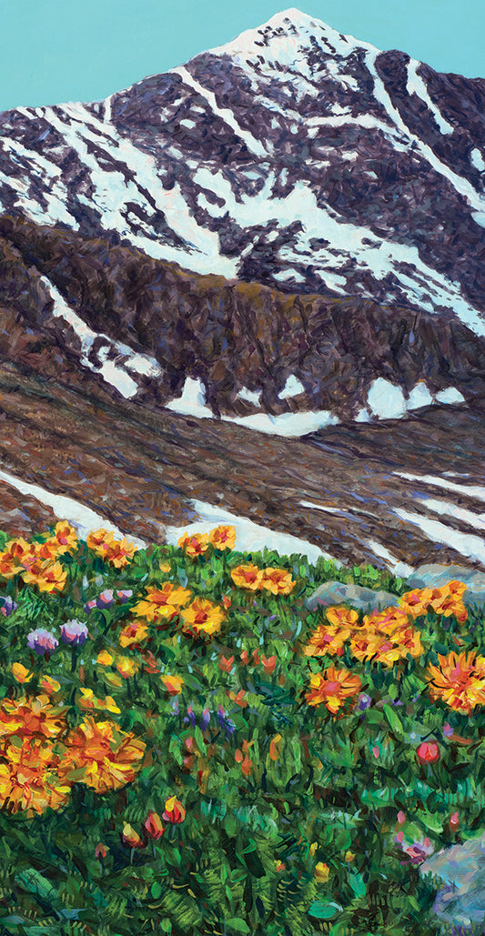 Torrey's Peak in Spring Canvas Print