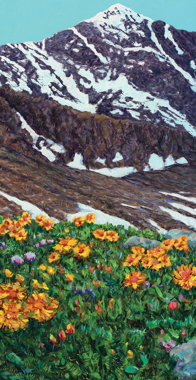 torreys-peak-in-spring-james-w-johnson