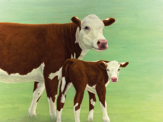 Mother and Child Cows
