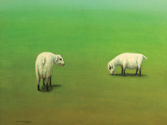 Study of Two Sheep Canvas Art